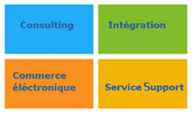 Services prinçipaux de Numeric Data Systems