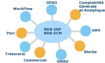 NDS ERP, NDS ECM Structure